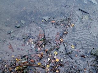 garbage in the water near the waterfront
