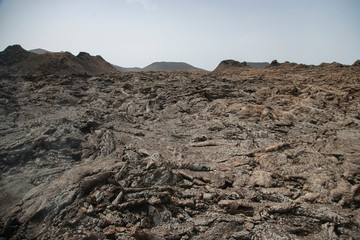 На острове Тенерифе/On the island of Tenerife