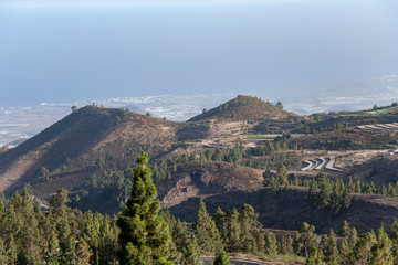 Fototapeta premium На острове Тенерифе/On the island of Tenerife