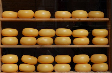 formaggio olandese