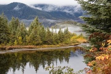 Photograph of fir trees reflecting in a lake in autumn