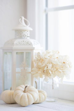 Vintage style fall themed photograph of white mini pumpkins on white with dried hydrangea in the window sill