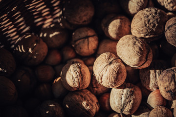 Freshly harvested walnuts in rustic basket in spots of sunlight.