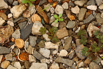  composition of stones of different types
