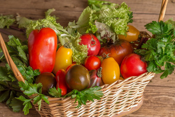 Many different tomato breeds and fragrant herb in a basket