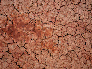 cracked clay
