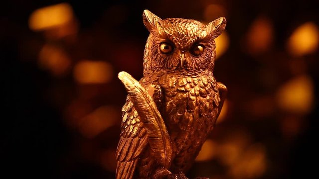Gold owl figure studio hd footage