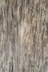 Fototapeta premium Wood old texture background