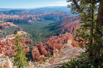 bryce canyon national park in utah usa