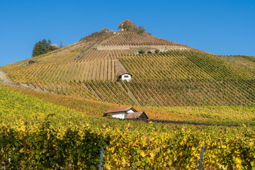 Scheuerberg bei Neckarsulm im Herbst