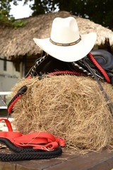 sombrero sobre silla de montar caballo - 230856065