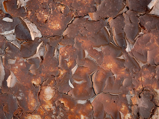 cracked clay