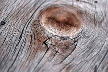 wood texture background