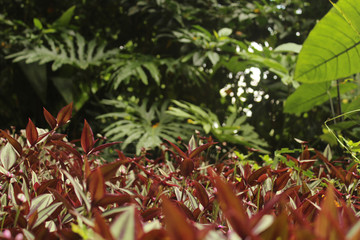 Martinho di Ciero - ITU - BRASIL 20