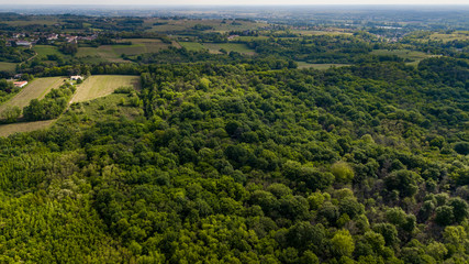 Aerial view of the forest in Gironde, Plantation, France