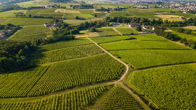 Aerial view, Bordeaux vineyard, landscape vineyard south west of france
