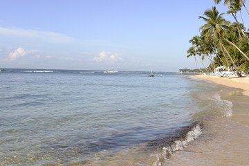 playa palmeras