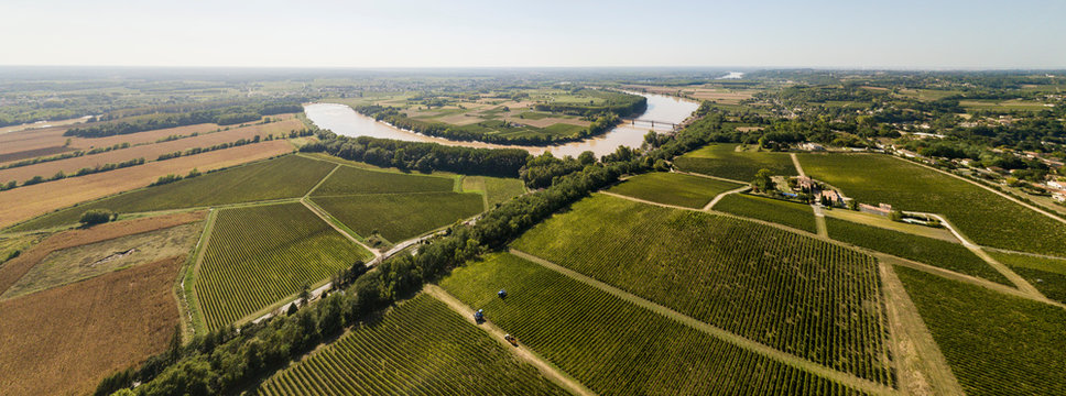 Aerial View Bordeaux Vineyard At Sunrise, Entre Deux Mers, Langoiran, Gironde