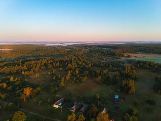 Forest in the fog from the heights at dawn