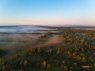 Obraz premium Forest in the fog from the heights at dawn