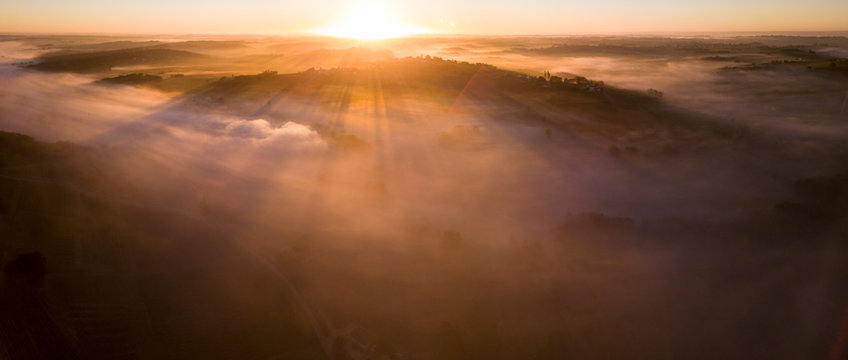 Aerial view, Bordeaux vineyard, landscape vineyard and fog at sunrise