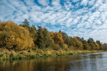 Scenic autumn river with trees on the shore.
