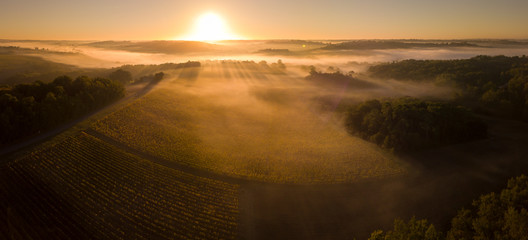Vue aérienne, vignoble bordelais, vignoble paysager et brouillard au lever du soleil