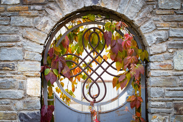 beautiful decorative metal elements forged wrought iron gates