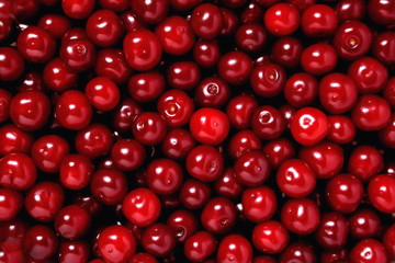 natural ripe fresh cherry, background, close-up