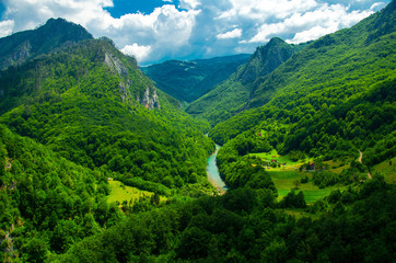 Mountain range and forests of Tara river gorge canyon, Montenegro