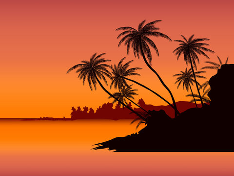 Row of tropic palm trees against sunset sky. Silhouette of tall palm trees. Tropic evening landscape. Gradient color. Vector illustration. EPS 10
