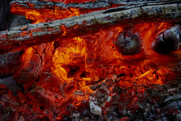 Fire, flame, over a burning tree. Close-up