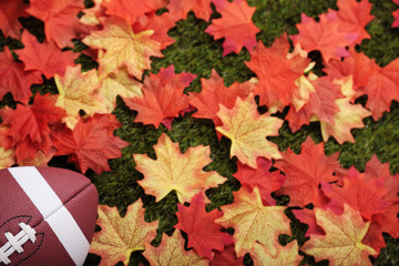Naklejka na ściany i meble American football next to some autumn fallen maple leaves (focus on the ball)