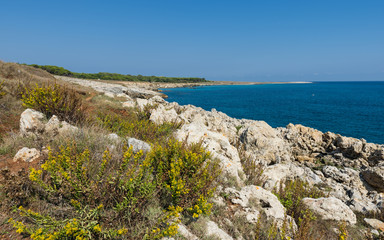 Fototapeta na wymiar Küstenlandschaft bei Otranto 
