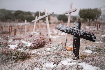 snowy natural cemetery with crosses