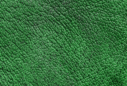 Grain Leather Images – Browse 49 Stock Photos, Vectors, and Video