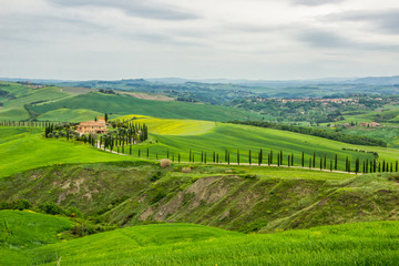 green fields near Volterra in Tuscany
