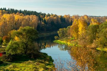 autumn yellow forest and river