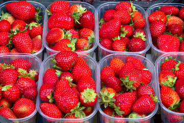 Fresh strawberries in the market of Catania in Sicily