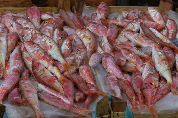 Seafood at the market of Catania in Sicily
