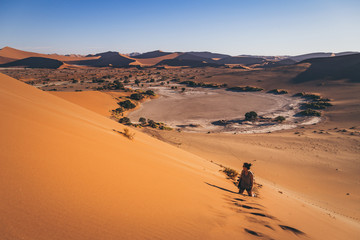 Fototapeta na wymiar Femme sur une dune de sable dans le désert de Sossusvlei en Namibie
