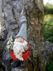 Garden gnome with a small christmas tree in  front of an old tree trunk