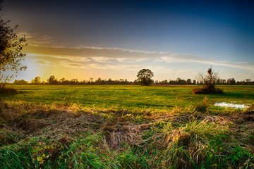 Fototapeta premium Zachód słońca rozświetlający łąkę,