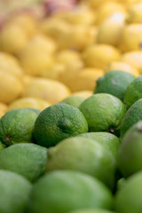Lemons and Limes - 230875071