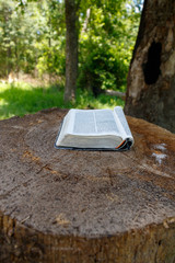 Scripture reading in the woods