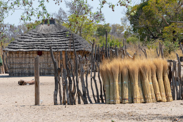 Reet zum Dachdecken vor einer Hütte bei Divundu,  Namibia