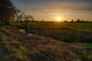 Zachód słońca rozświetlający łąkę,