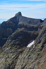 Fetas - Bisaurin - 1