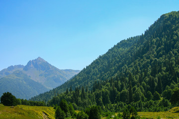 Fototapeta na wymiar Picturesque natural sunny landscape of green alpine meadows
