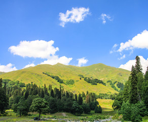 Fototapeta na wymiar Picturesque natural sunny landscape of green alpine meadows